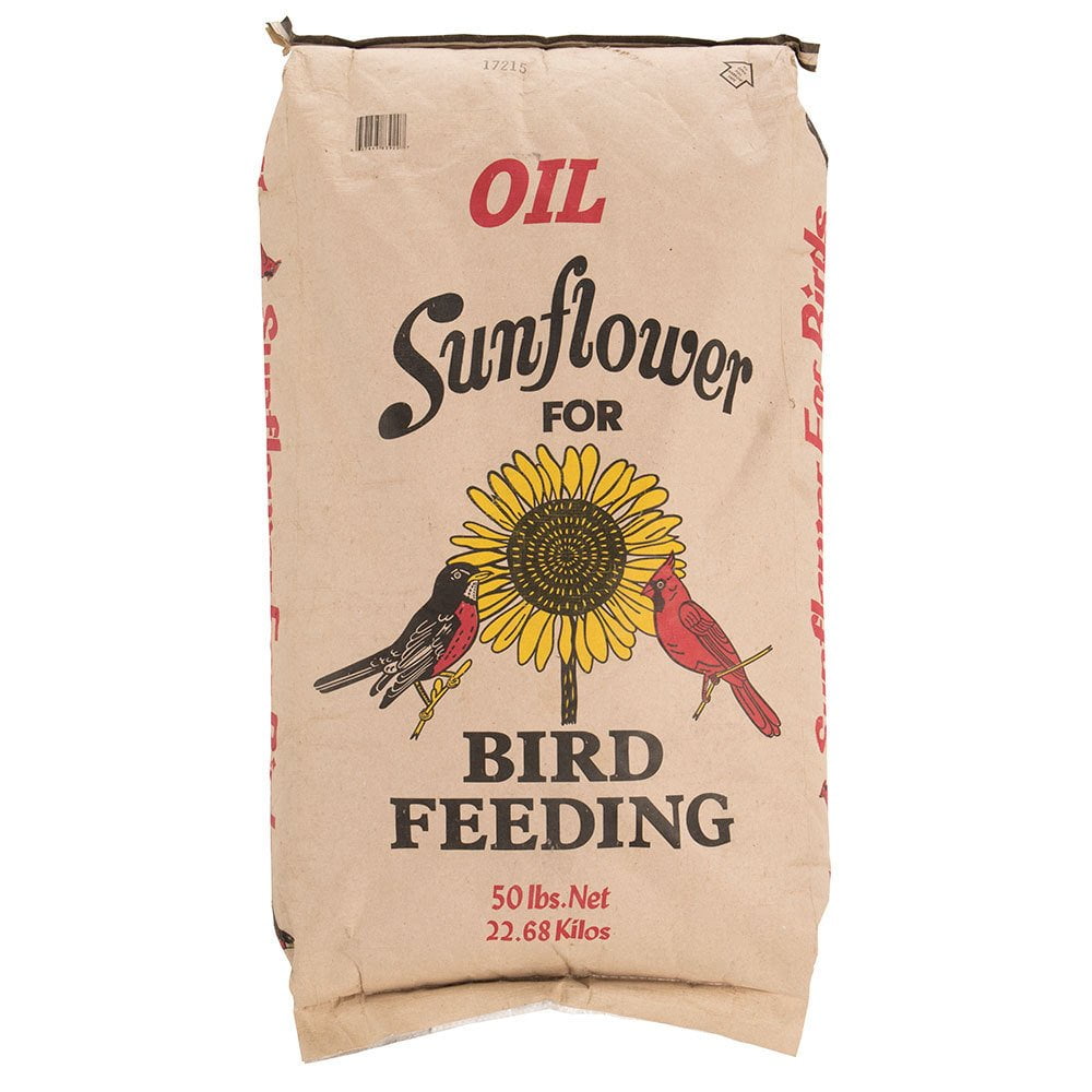 Black Oil Sunflower Bird Feeding