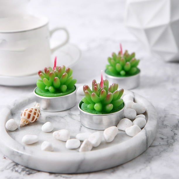Candela Suculenta Cactus Set 3 Piezas, Vela Nonsmoking Quirky Cumpleaños, Estilo Decorativo, para Fiesta, Regalo Original, Set de 3 Velas de Cera Sin Humo, Decoración de Interior, para