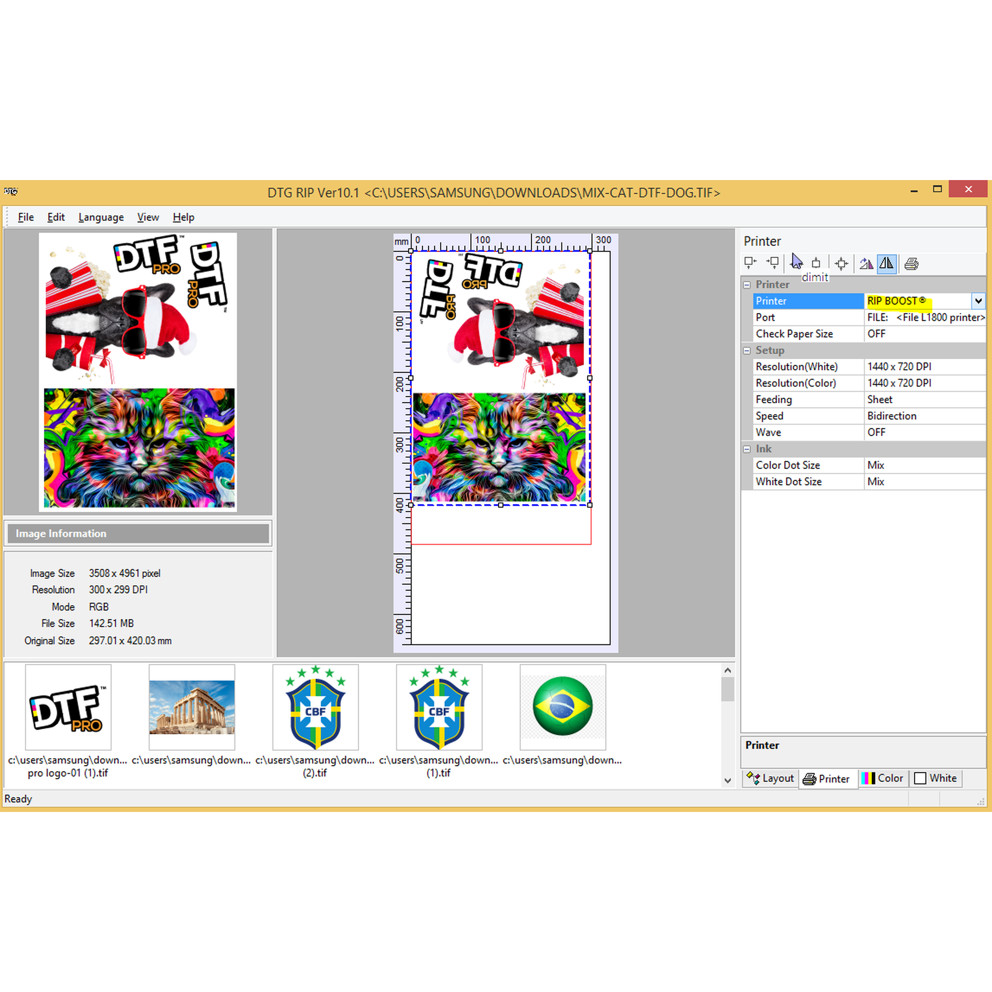 ACRORIP version 10.xx, works for DTF and UV Printers Software with Onboarding Support