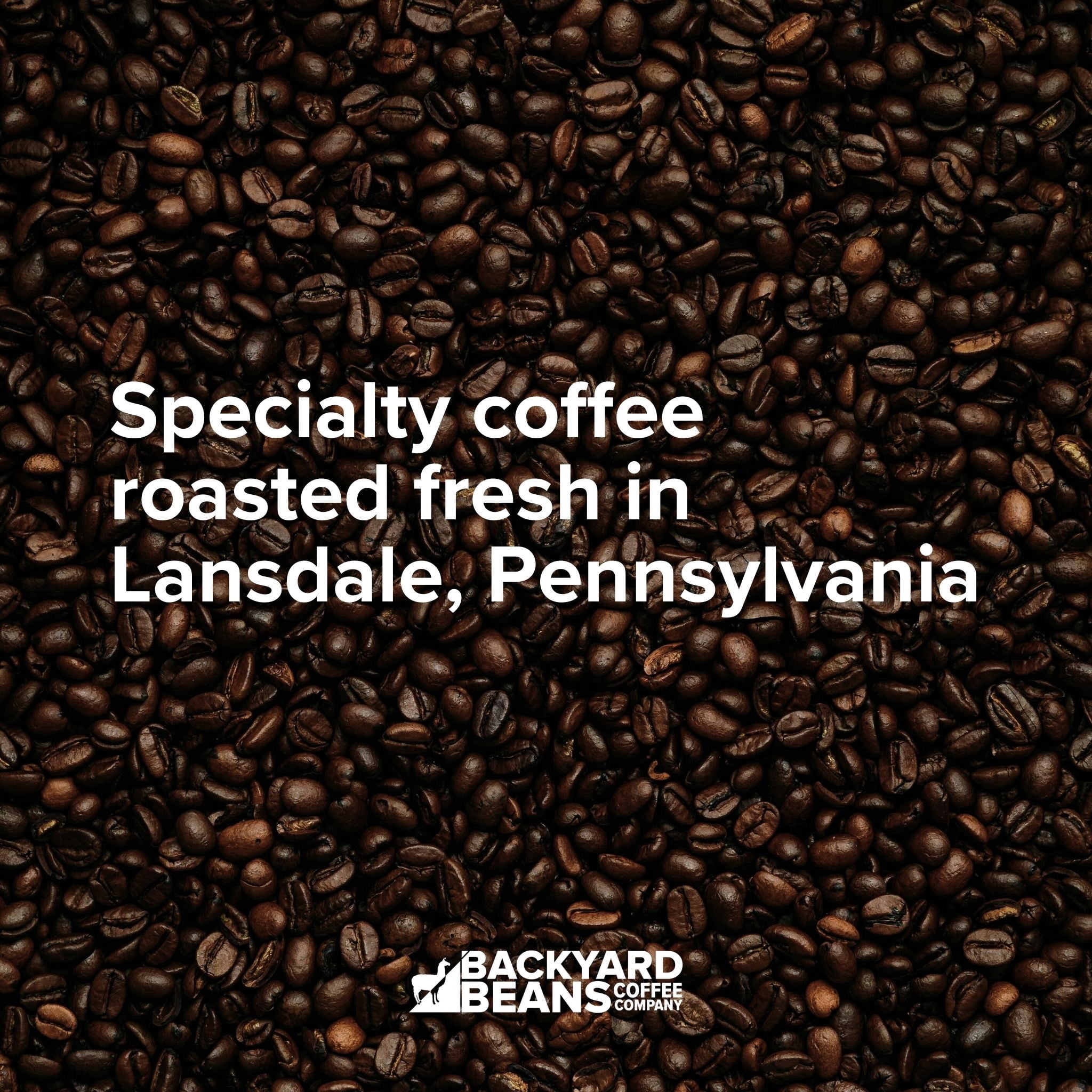 Local Backyard Beans Coffee Co Punch in the Face, Organic, Dark Roast, Keurig Coffee Pods, 24ct