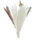 thumbnail image 3 of 30 piezas de hierba seca real, ramo de phragmites, plantas de caña, artesanías florales para Estilo D, 3 of 7