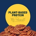 thumbnail image 3 of (2 pack) PLANTERS Roasted Pecan Nuts, Party Snacks, Plant Based Protein, 7.25 oz Steel Can, 3 of 12