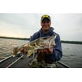 thumbnail image 5 of Northland Eye-Candy Minnow 4" Swimbait Smoke Shad, 5 of 8