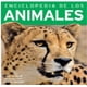 thumbnail image 1 of 384 PAGINAS: ENCICLOPEDIA DE LOS ANIMALES SILVER DOLPHIN SUSANA DEL MORAL, 1 of 2