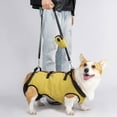 thumbnail image 6 of Senior Dog Support Lift Harness With Reinforced Padding For Post Surgical Let Support Adjustable for Outdoor Activity, 6 of 9