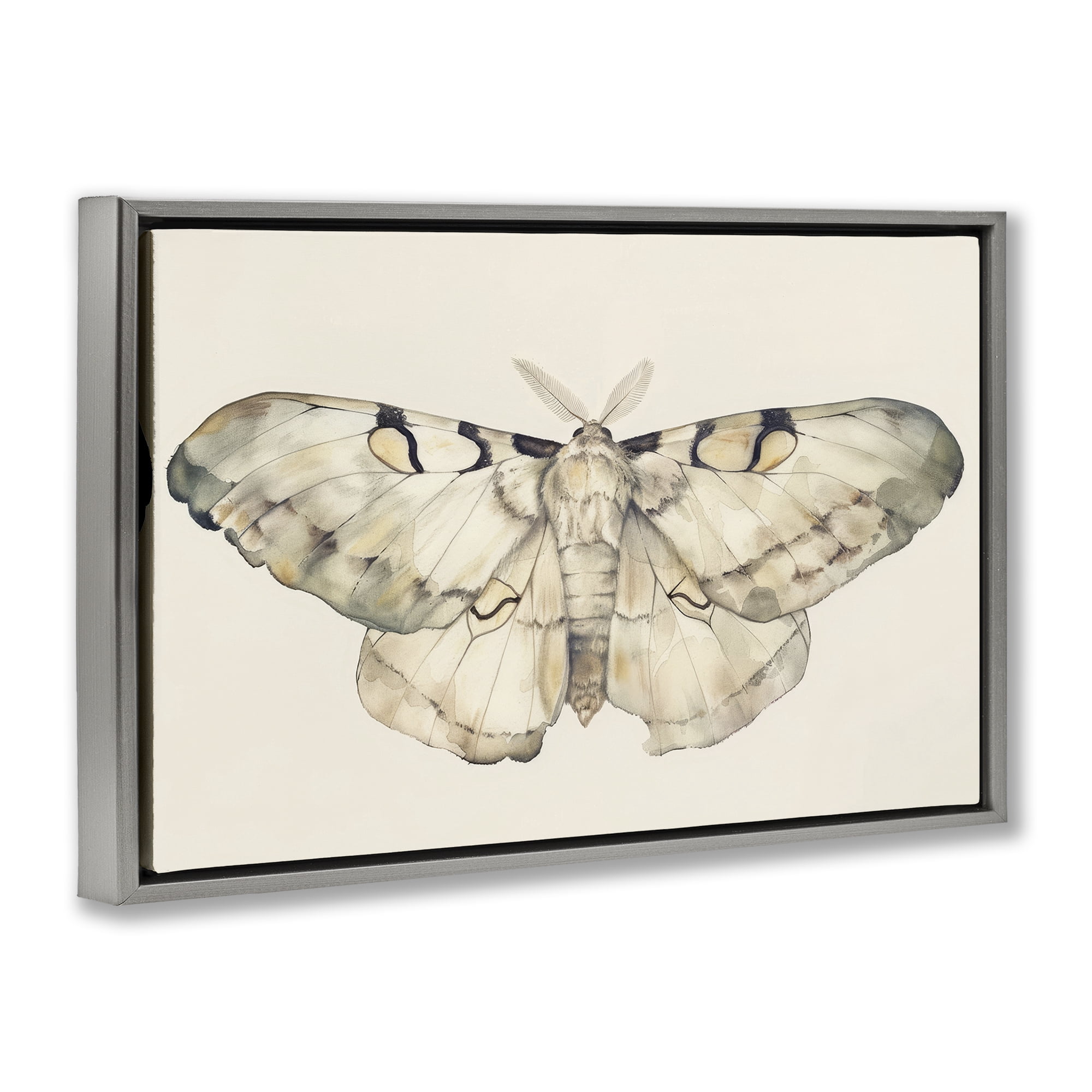 Stupell Industries Dusty Beige Moth Animals Painting Gray Floater Framed Canvas Art Print Wall Art, 25 x 17