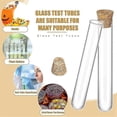 thumbnail image 4 of 100pcs Glass Test Tubes With Cork Clear Stoppers Round Bottom Lab Test Alcohol Tampons Tubes Container(15x100mm/13ml), 4 of 5