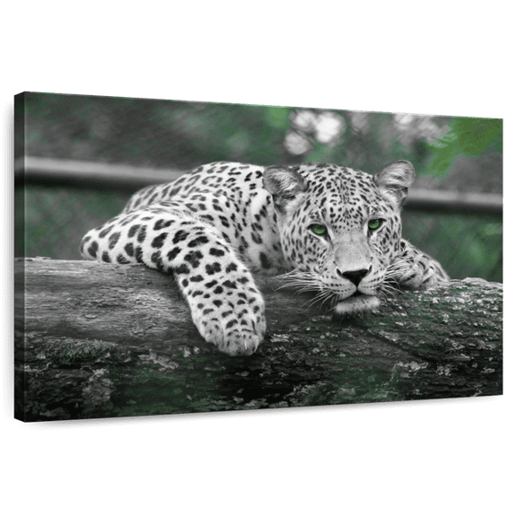 Elephant Stock Green Eyed Jaguar Wall Art - Horizontal Canvas Wall Art - Bedroom Wall Decor - Animal Canvas - Green And White Decor - 12" x 8"