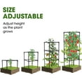 thumbnail image 6 of MQHUAYU 3-Pack 41.7'' Heavy-Duty Green Tomato Cages - Rust-Resistant Coated Steel Plant Supports with 20 Clips | Ideal for Climbing Vegetables, Flowers & Fruits, 6 of 8