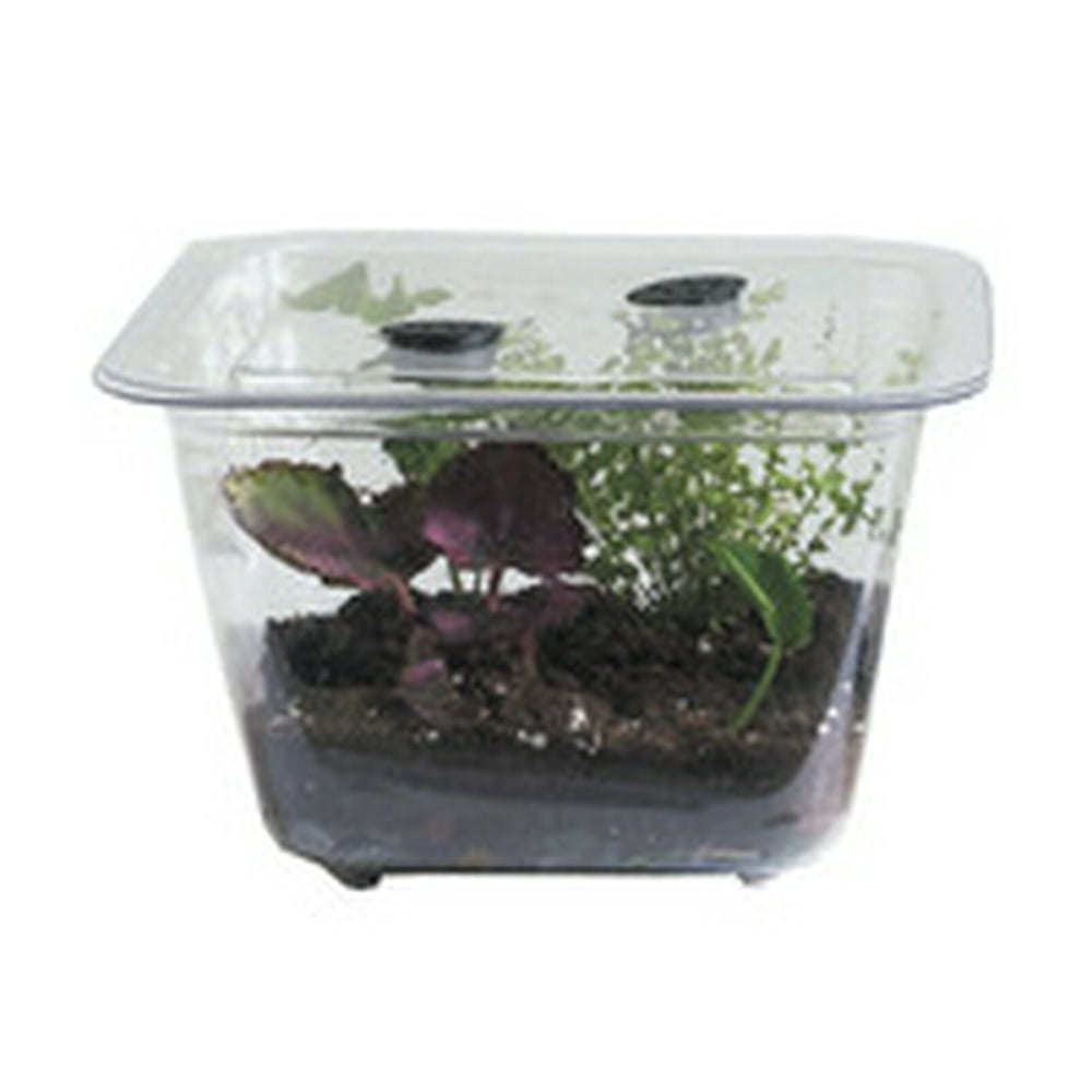 Hubbard Scientific Student Aquarium/Terrarium 1 1/2 Gallon Plastic