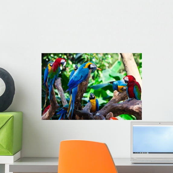 Group Parrots Wall Mural by Wallmonkeys Peel and Stick Graphic (18 in W x 12 in H) WM181392