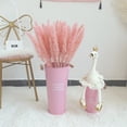 thumbnail image 4 of EIMELI Dried Small Pampas Grass Phragmites Communis Decoration for Home Store Wedding, 4 of 9