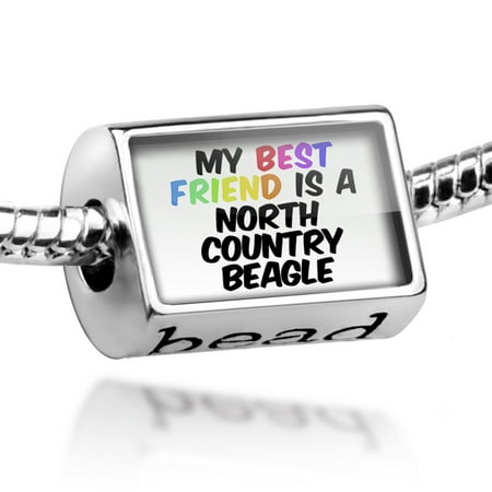 Bead My best Friend a North Country Beagle Dog from Great Britain Charm Fits All European (Best Type Of Fence For Beagles)