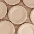 thumbnail image 3 of Raindrops 100Pcs Small Appetizer Plates Round Bagasse 6 Inches For Hot And Cold Food Serving, 3 of 7