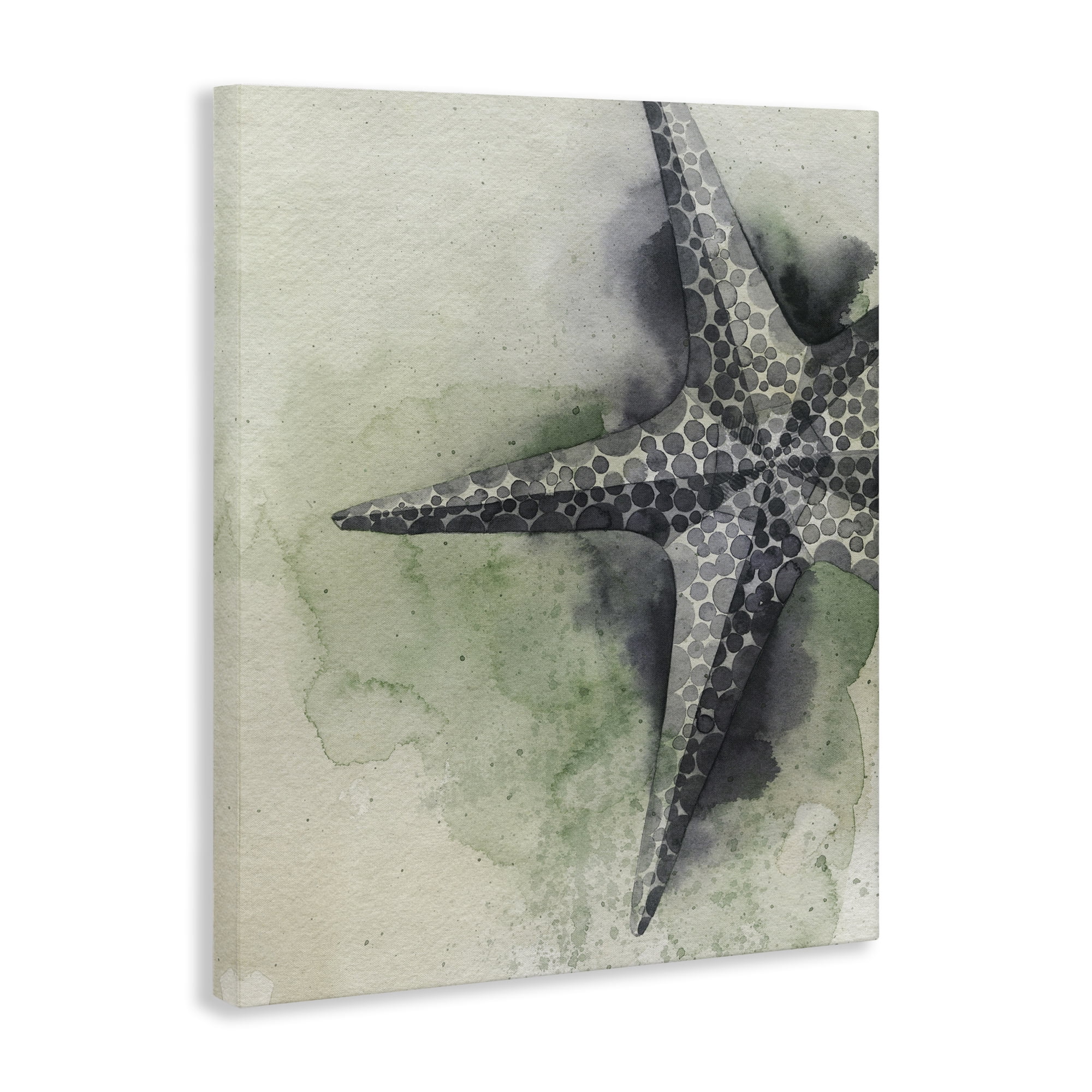 Stupell Industries Spotted Grey Starfish Animals & Insects Painting Gallery Wrapped Canvas Art Print Wall Art, 24 x 30