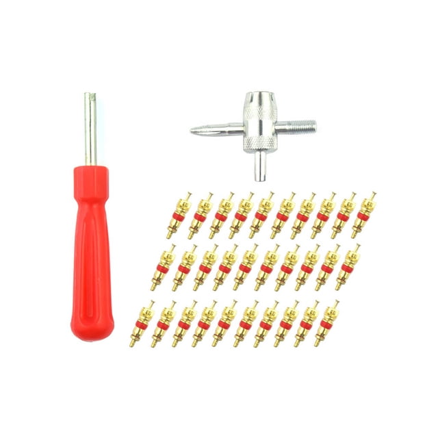 Sidaley 32 unids/set Universal coche motocicleta bicicleta Scooter válvula removedor de núcleo válvula de rueda de vehículo herramienta de Vehículos, repuestos y accesorios Mis Sidaley VI016863-00B