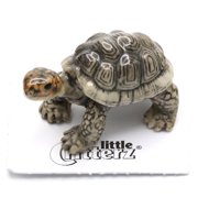 Little Critterz Galápagos Tortoise “Darwin” Miniature Porcelain Figurine, Hand-Painted Reptile Collectible, Nature Home Décor Display Piece, Gift for Tortoise Lovers