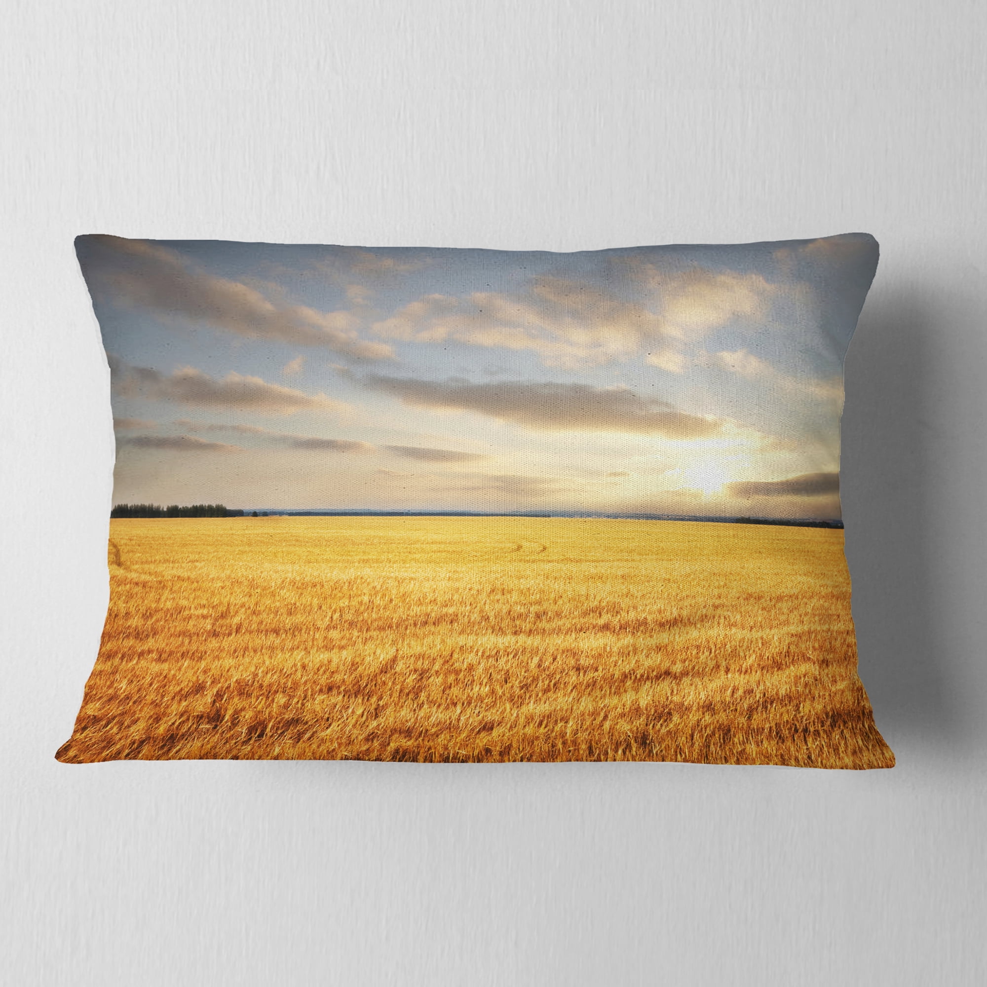 Designart Expansive Brown Field - Landscape Printed Throw Pillow - 12x20