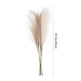 thumbnail image 2 of unbranded 6Ud Ramo Artificial De Pasto Pampas Beige Para Hogar Y Eventos Estilo Rústico, 2 of 7