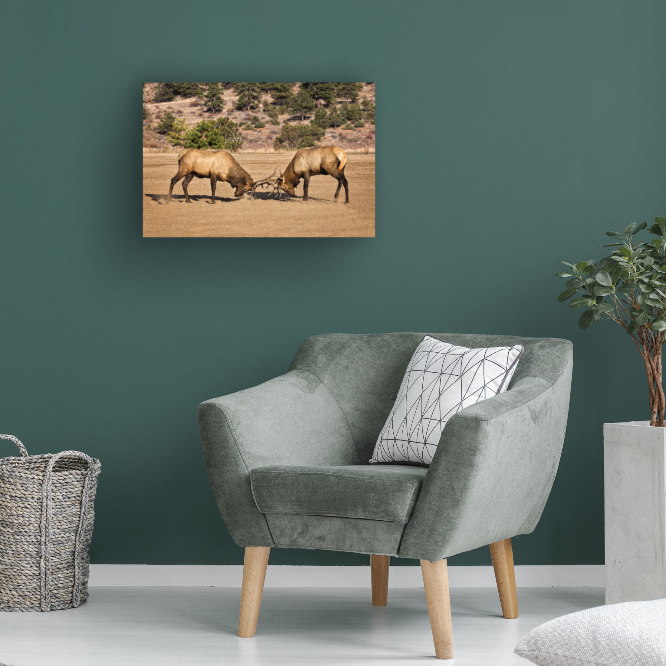 Trademark Fine Art David Drost Two Elks I Canvas Wall Art