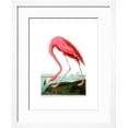 thumbnail image 2 of American Flamingo, 1834, Animals Framed Art Print Wall Art by John James Audubon Sold by Art.Com, 2 of 6