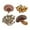 Brun, variante sur 4 Pcs Modèle Artificiel Activités d'Apprentissage Figurines Miniatures pour Conte de Maternelle Scène de Table de Sable Garderie Tout-Petits Rouge