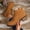 Brown, variant on Lace Up Ankle Boots for Womens Round Toe Suede Winter Dressy Short Booties Classic Comfort Casual Vintage Boots for Women Non-Slip Booties Beige 9.5(43)