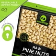 thumbnail image 4 of Nut Cravings Premium Pine Nuts All Natural, Kosher, Vegan, Raw Pignolias (8oz), 4 of 8