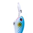 thumbnail image 3 of 3D Eyes Plastic Perch Lures Hooks Simulation Fish Bait Deep Sea Bass Fishing Tackle Aritificial Lures, 3 of 4