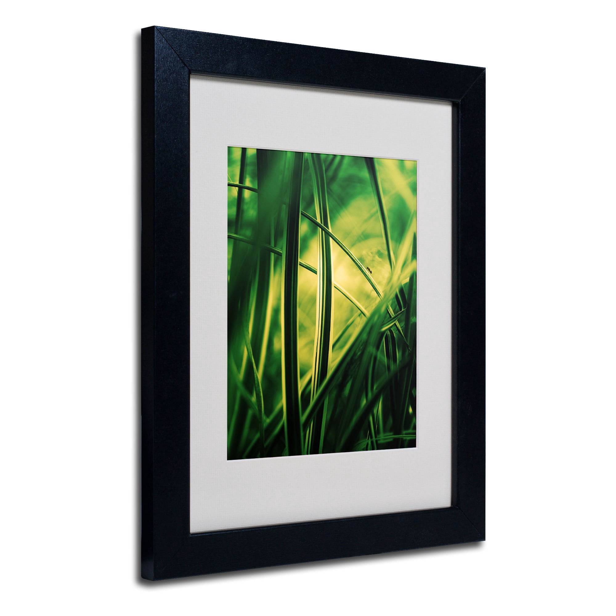 Trademark Philippe Sainte-Laudy "Miniature" Art White Matte With Black Frame 16" x 20"