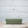 thumbnail image 2 of Root & Vessel Countryside Flower Box, Sage, 24", 2 of 6