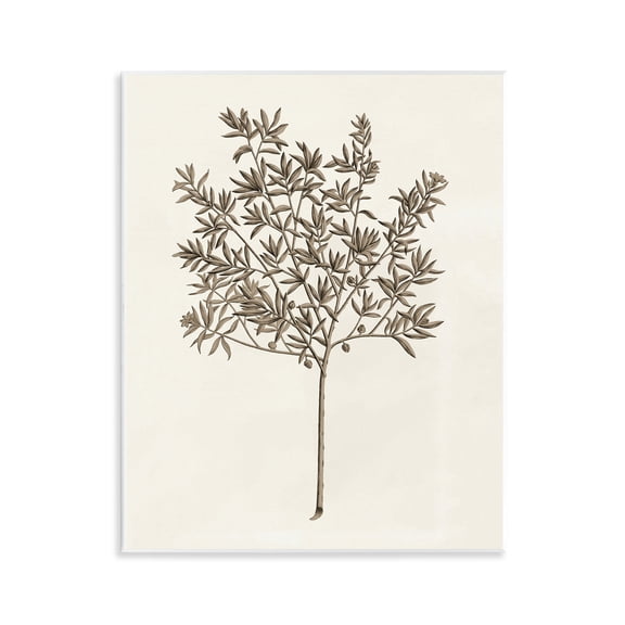 Stupell Industries Vintage Study of Olive Tree Floral Painting Unframed Art Print Wall Art, 11 x 14
