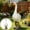 03#white, variant on Xhegex Winter Lanai Goose Accessories Set - Cute Bathrobe, Headscarf & Cucumber for Outdoor Yard Decoration - Perfect for Porch and Patio Decor
