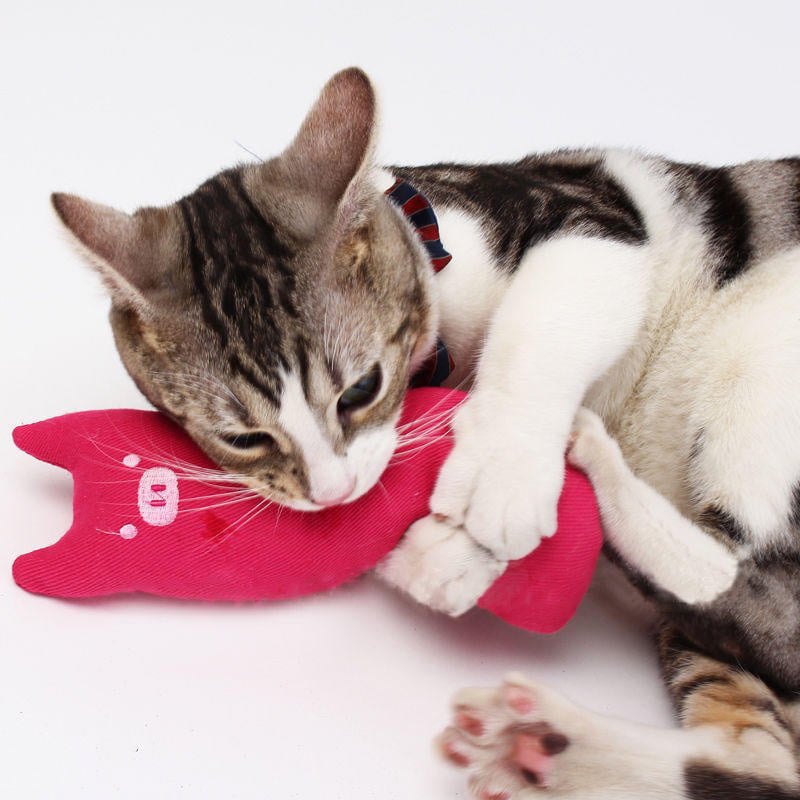 Creative Pillow Scratch Crazy Cat Kicker Catnip Toy Teeth Grinding Toys Fast 