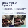 thumbnail image 2 of Petpost Dental Solution for Dogs - Water Additive for Bad Breath & Plaque - Apple, Peppermint & Spearmint - Brush-Free Daily Tooth Cleaning - 16 oz, 2 of 8