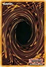 YuGiOh Raging Battle Special Edition Mini Box
