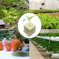 thumbnail image 5 of 100 tapones de cultivo para germinación de plantas (25 x 25 x 25 mm), 5 of 5