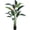 Green, variant on Eastvita 6FT/7FT Bird of Paradise Artificial Plant with Key Features (20) Trunks Faux Leaves
