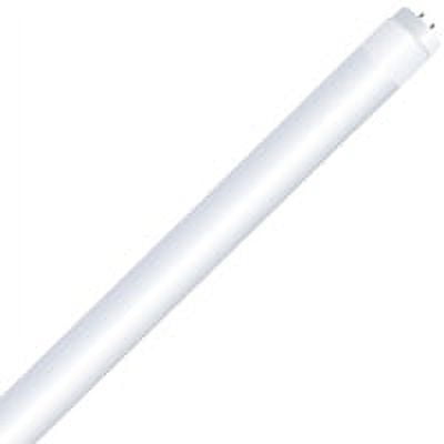 BULB LINEAR LED 4K T12 2PK 4FT per 5 BX2
