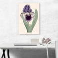 thumbnail image 2 of ARTCANVAS Iris Flower Canvas Art Print by Sydenham Edwards - Size: 26" x 18" (1.50" Deep), 2 of 9