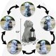 thumbnail image 5 of Estatua de jardín de perro solar Qobumy con farol LED para exteriores, 5 of 7