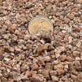 thumbnail image 1 of Vermiculita de calidad superior para horticultura, de grado grueso, 4 qt, enmienda del suelo que promueve la aireación y el drenaje del suelo., 1 of 3