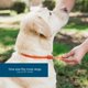 thumbnail image 2 of Collar para perros Wondercide, repelente de pulgas, garrapatas y mosquitos durante 4 meses, 2 of 6