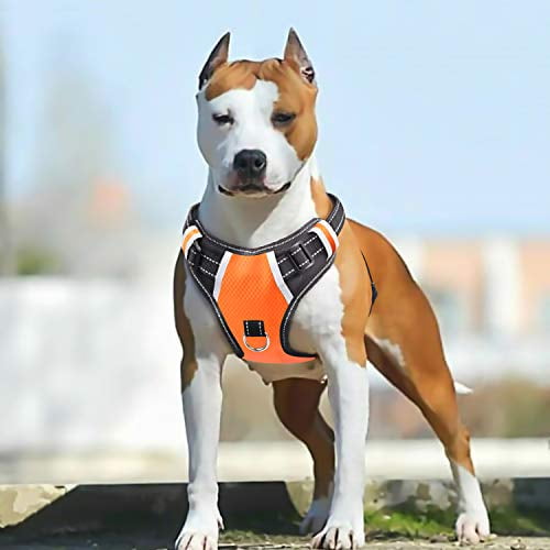 Babyltrl Big Dog Harness No Pull Adjustable Pet Reflective Oxford Soft Vest For Large Dogs Easy Control Harness L Orange Walmart Com Walmart Com