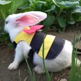 thumbnail image 1 of Rdeghly Cute Cartoon Cat Walking Harness And Leash Pets Rabbit Clothes Adjustable Vest, 1 of 8