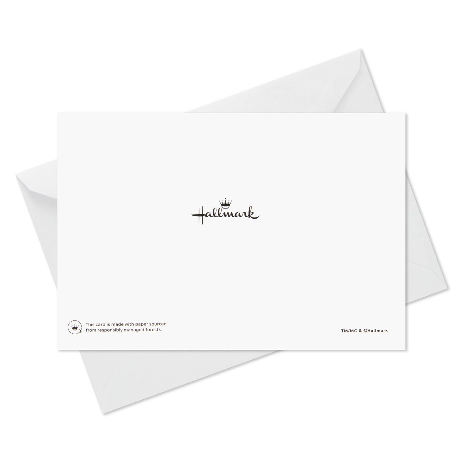 Boîte de cartes Hallmark de Noël, pingouins et ours polaire (paquet de 16 cartes et enveloppes)