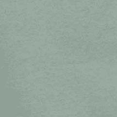Duck Green