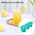 Water Bottle Ice Cube Molds Magic Ice Cube Maker Fruit Smoothies 3D Ice