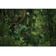 thumbnail image 1 of Dorcev Fondo De Fotografía De Bosque De La Selva De 6 X 4 Pies Para Acampar Al Aire Libre Fondo De Fiesta Temática Primavera Selva Misteriosa Selva Bosque Árbol Paisaje Natural Niños Adultos Boda Acce, 1 of 1