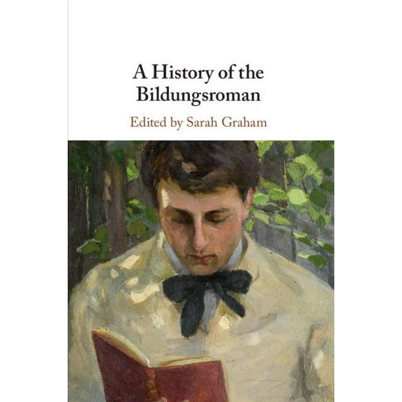 A History of the Bildungsroman, (Paperback)